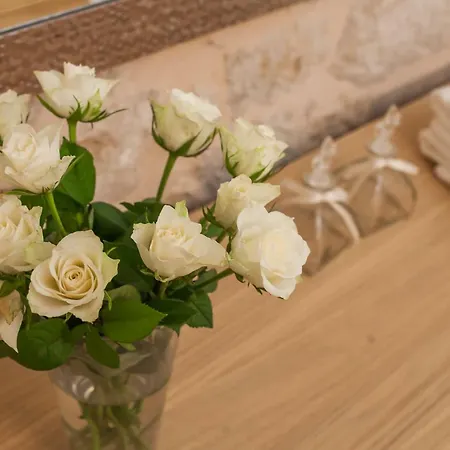 Brunela-free Parking