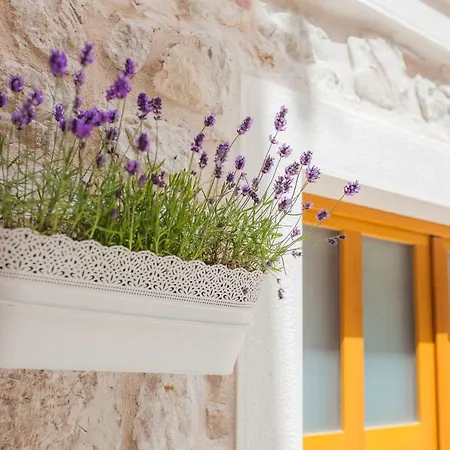 Lägenhet Brunela-free Parking