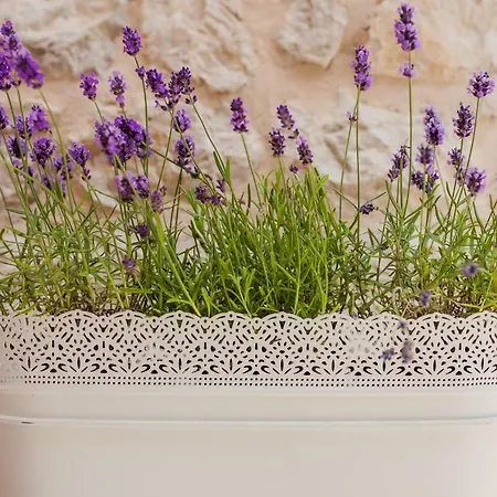 Brunela-free Parking Apartament *