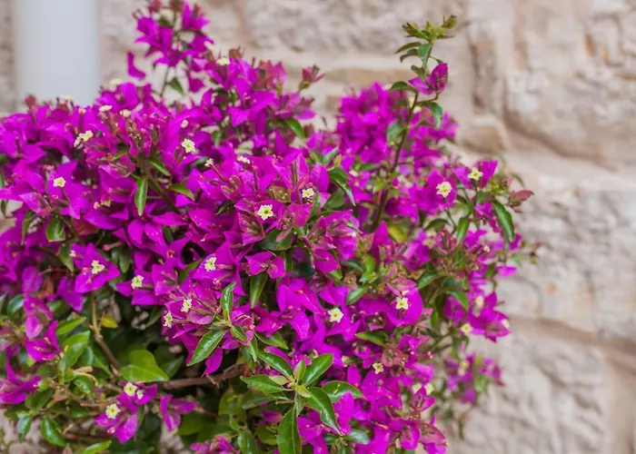 Brunela-free Parking 아파트 *