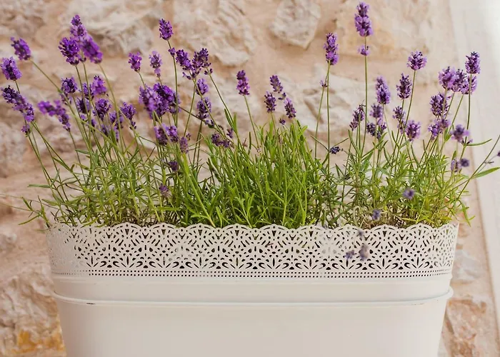 Brunela-free Parking Appartement *